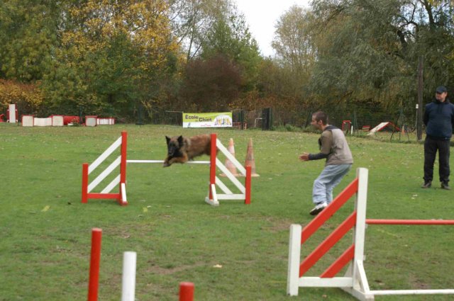 agility 2011-10-30